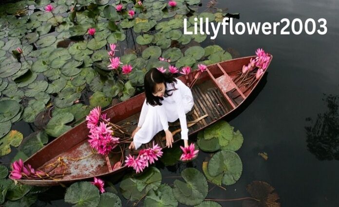 lillyflower2003
